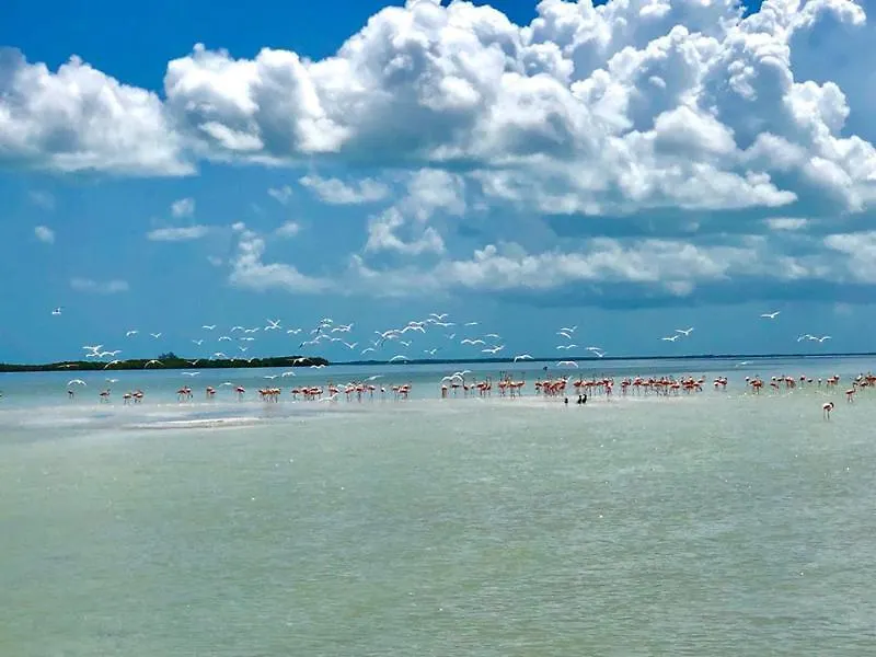 Hotel Casa Margot Isla Holbox 3*,