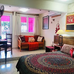 https://majikal-bnb-casa-de-los-xolos-corazon.hotelsmerida.org